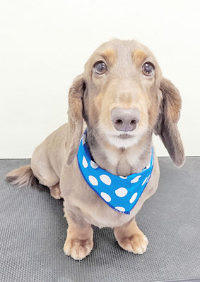 今池じょんちゃん