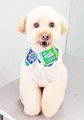 藤久保くうたちゃん