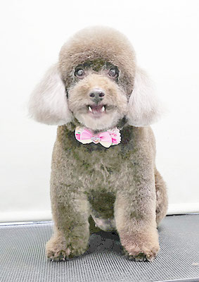 山口クレアちゃん