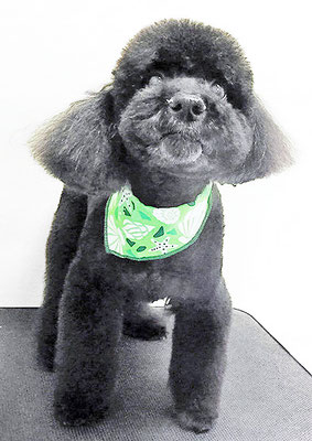 上村エイトちゃん