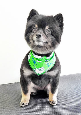 福山ポパイちゃん