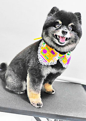 福山ポパイちゃん