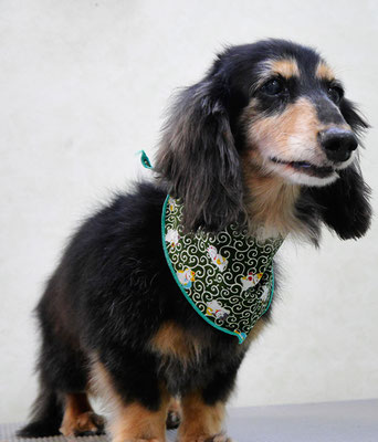 斉野平サンジちゃん