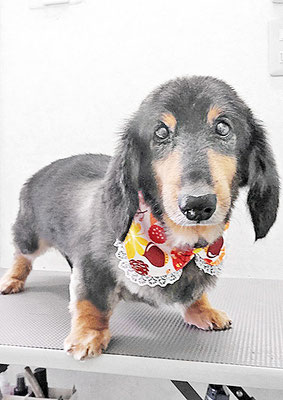 田中ロンちゃん