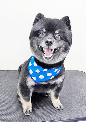 福山ポパイちゃん