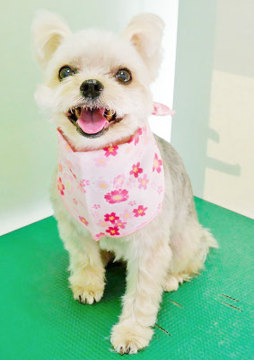 岡元ベリーちゃん