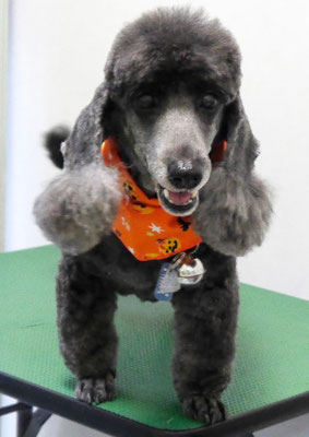 梶原リヴちゃん