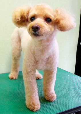 尾迫レオちゃん