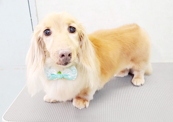 前薗パルちゃん