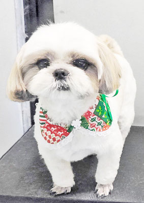 久永ナルちゃん