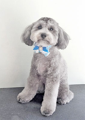 菅原そらちゃん