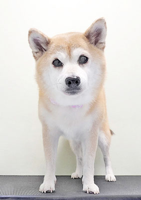 小田ハルちゃん