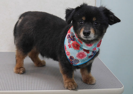 仮屋崎リュウちゃん