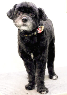 濵田リヨンちゃん