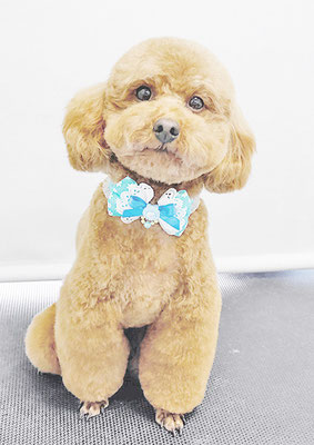 濱田クーパーちゃん