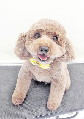 赤崎ノアちゃん