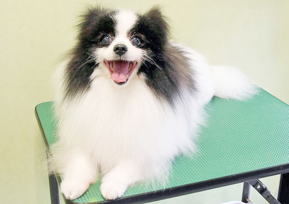 森崎マリアンちゃん