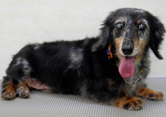 湯田モモちゃん