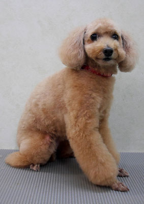 小野ハナちゃん