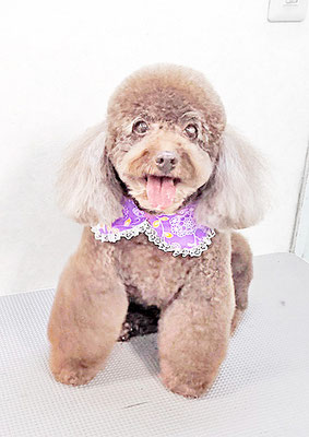 山口クレアちゃん