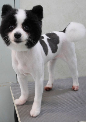 森崎マリアンちゃん