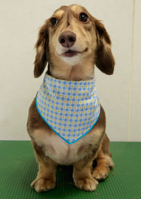 米田ジローちゃん