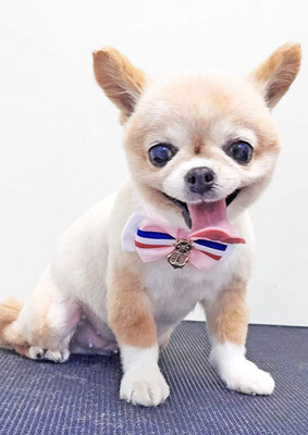 川田オカンちゃん