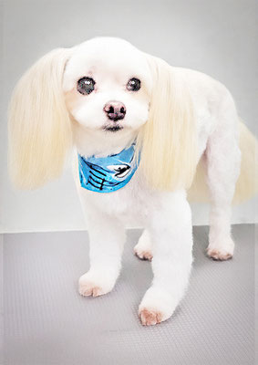 大脇ココアちゃん