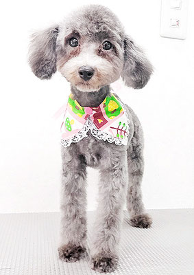 宮下ルビーちゃん