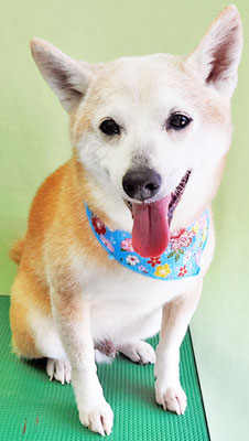 有馬コタロウちゃん