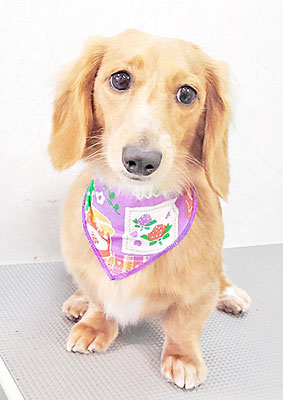 久保小春ちゃん