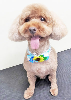 山元風介ちゃん