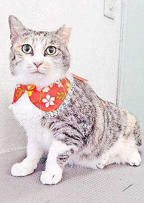 下島みーちゃん