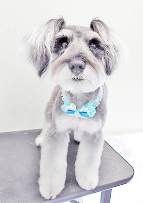 糸山ソラちゃん