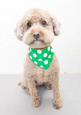 山元風介ちゃん