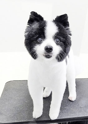 八木マリアンちゃん