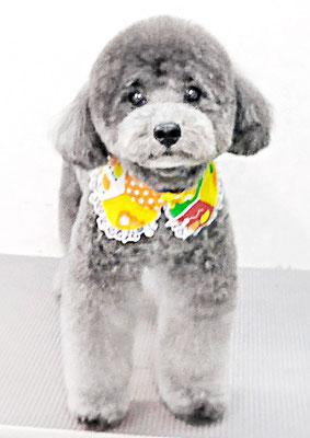 菅原そらちゃん