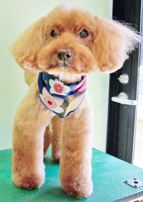 米澤ミントちゃん