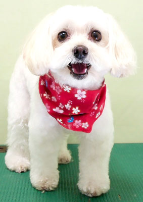 濱島クレアちゃん