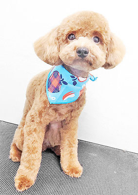 坂元ムギちゃん