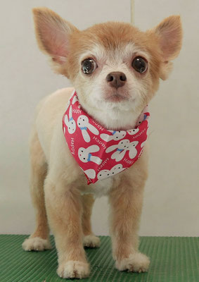 江上ベベちゃん