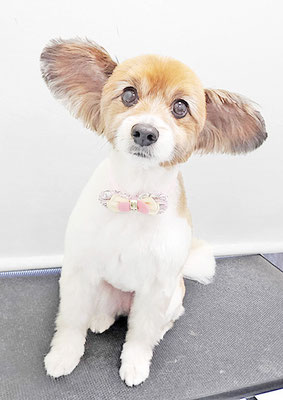 玉利ゆずちゃん