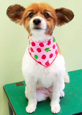 玉利ゆずちゃん