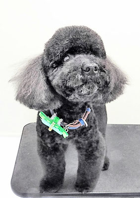 上村エイトちゃん