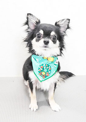 岩元ココちゃん