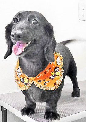 東メロンちゃん