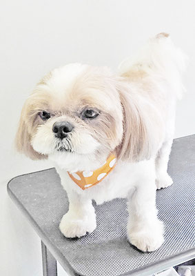 並木ランちゃん