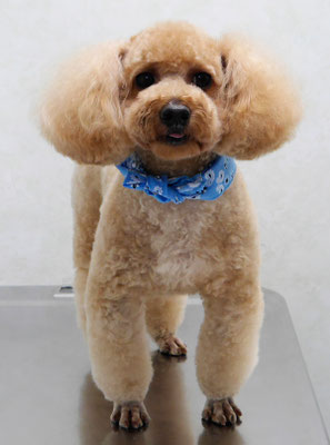 二宮モコちゃん