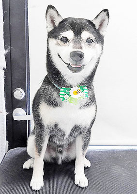 岩﨑レイちゃん