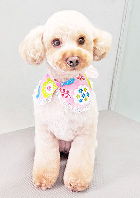 福島ベルちゃん